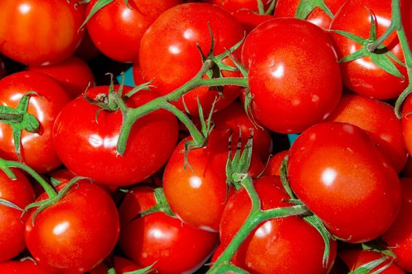 Quels fruits et légumes peuvent être cultivés sous LED pour un rendement maximal ?